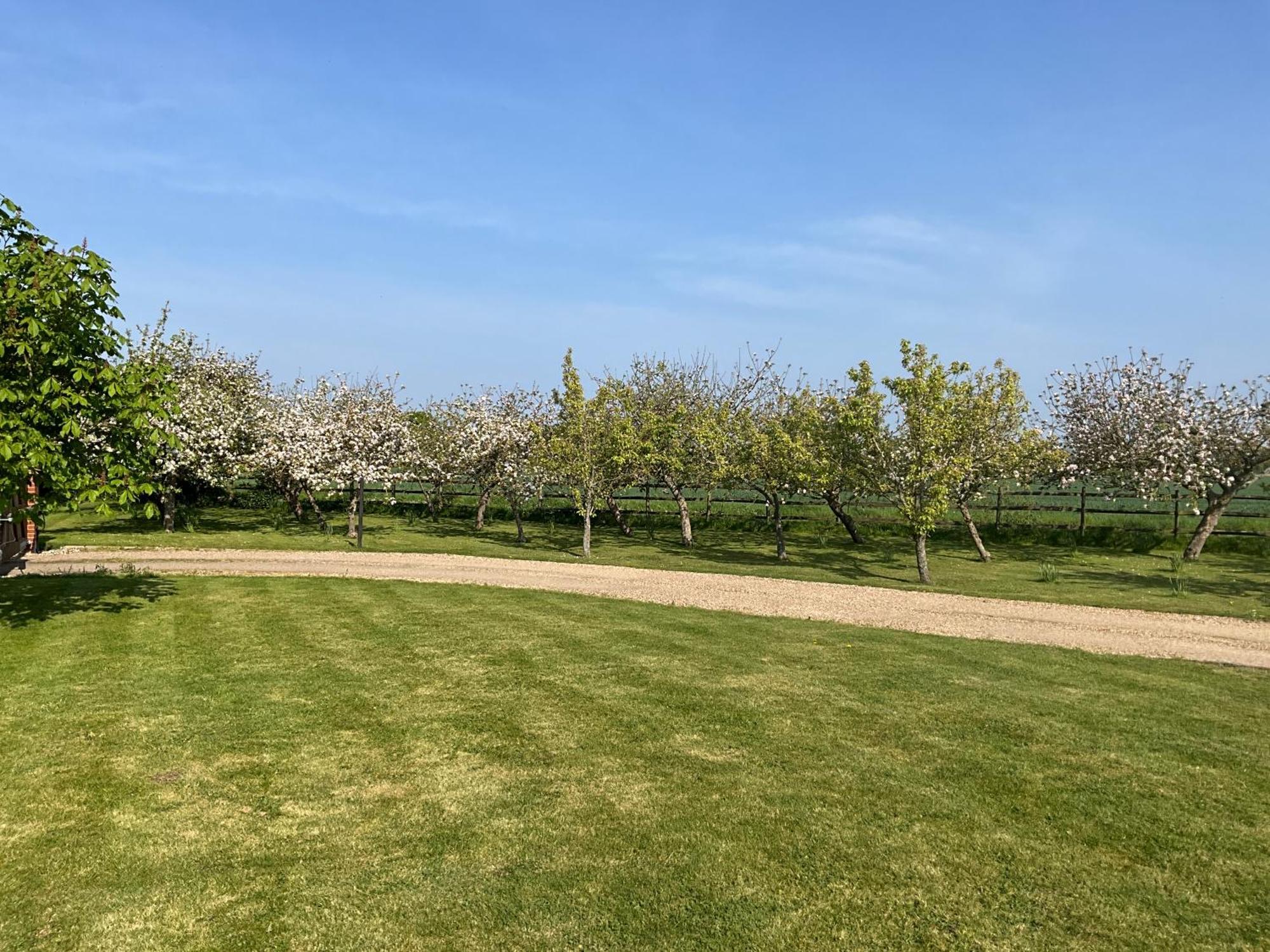 Pheasant Suites Colchester Ngoại thất bức ảnh